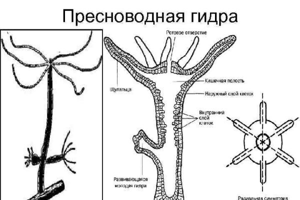 Кракен даркнет 2krnmarket