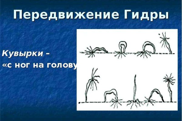 Кракен шоп даркнет