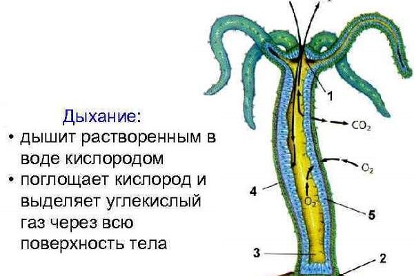 Кракен ссылка официальная на тор